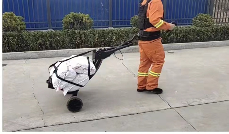 管家婆正版今晚开奖结果