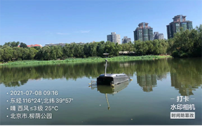 管家婆正版今晚开奖结果